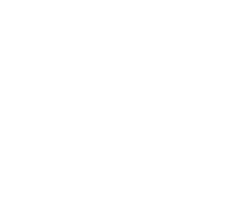 PlusLife®